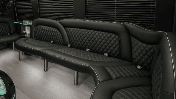 15 Passenger Sprinter Party Bus Interior